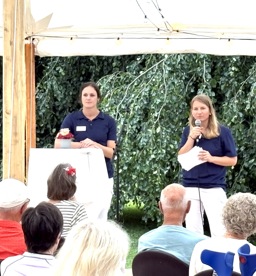 Die Goldenen Jahre 3